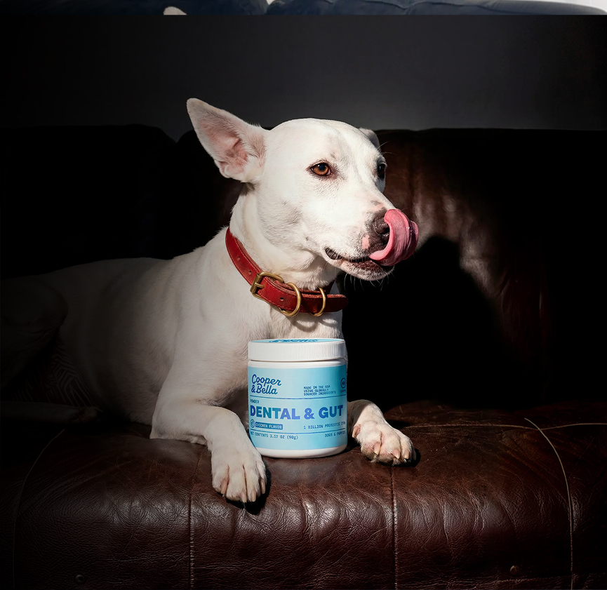 AI Design for Cooper & Bella, image 2 of 6