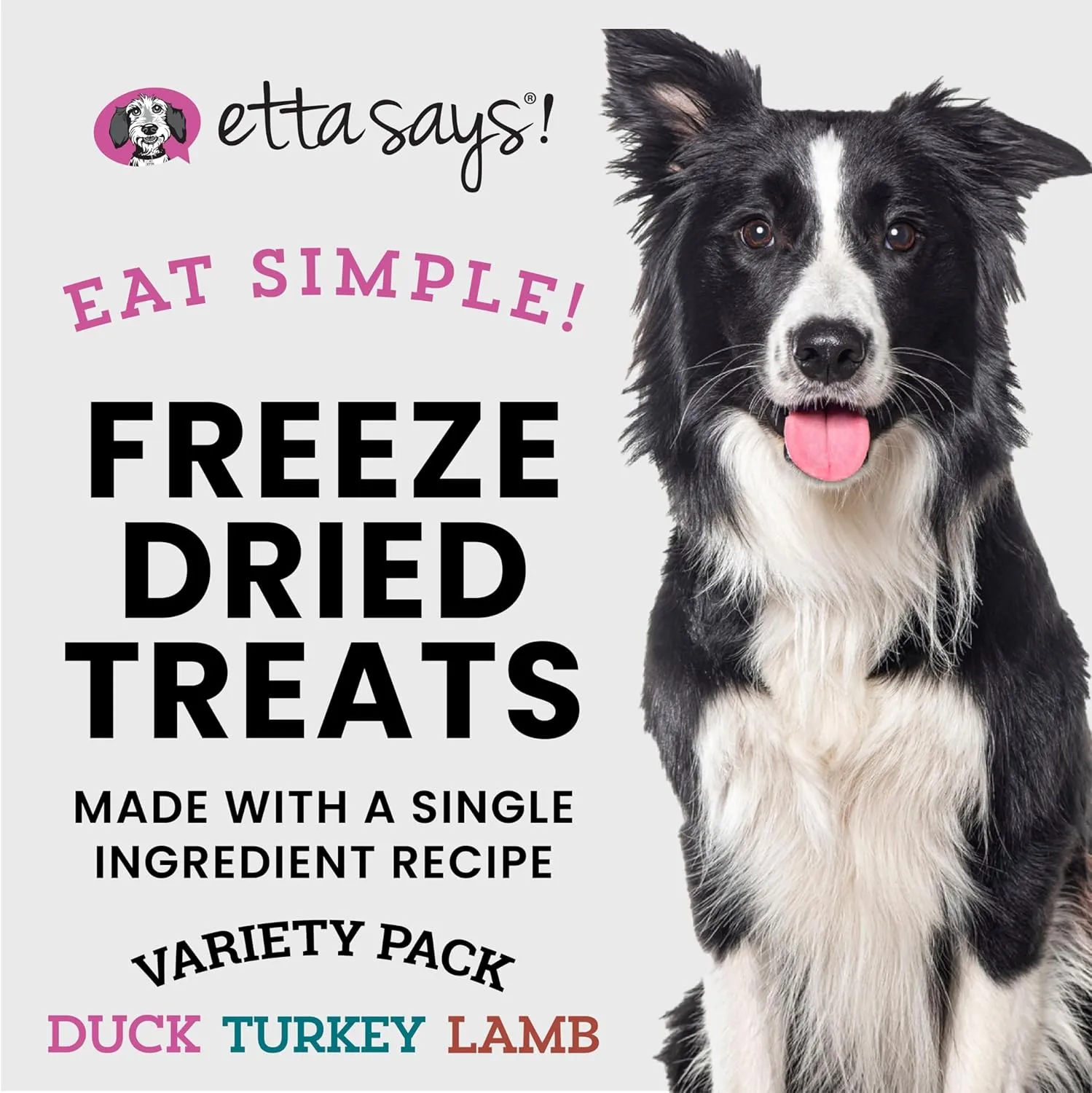 Amazon Design for Etta Says!, image 17 of 17