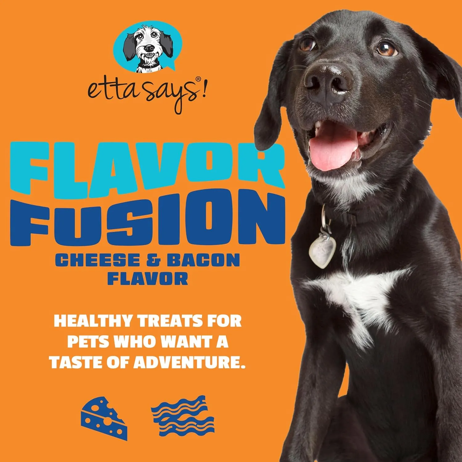 Amazon Design for Etta Says!, image 8 of 17