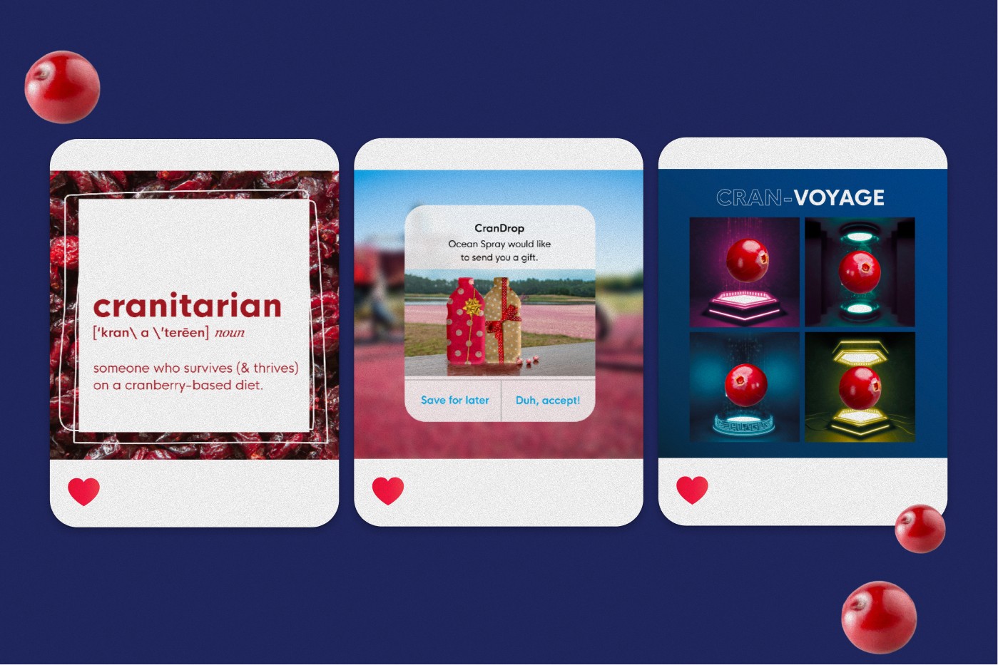 Digital Design for Ocean Spray, image 10 of 12