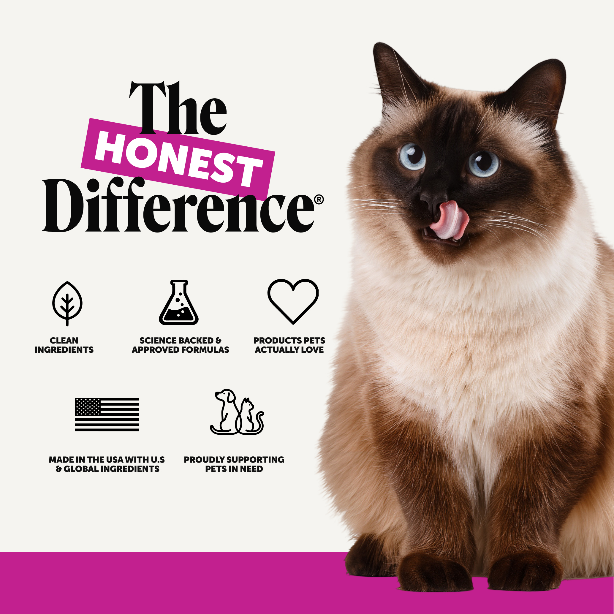Amazon Design for Pet Honesty