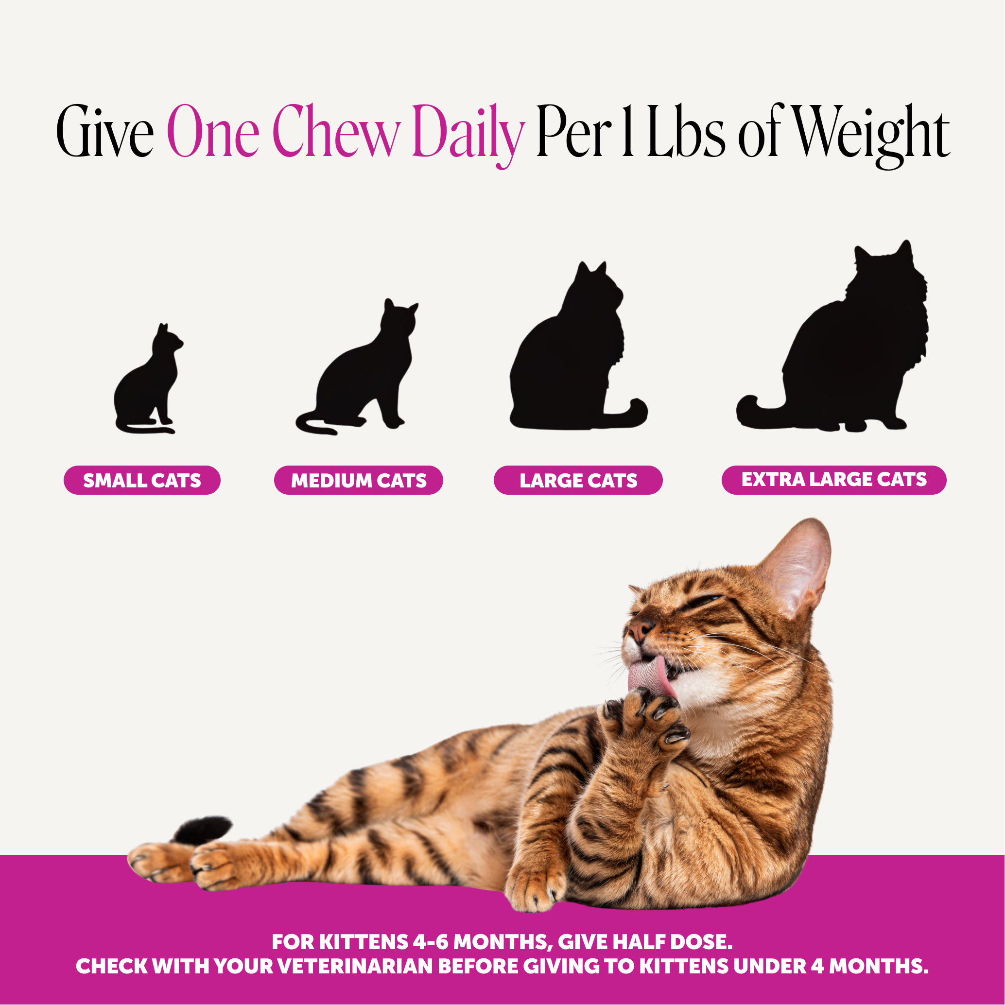 Amazon Design for Pet Honesty, image 3 of 21