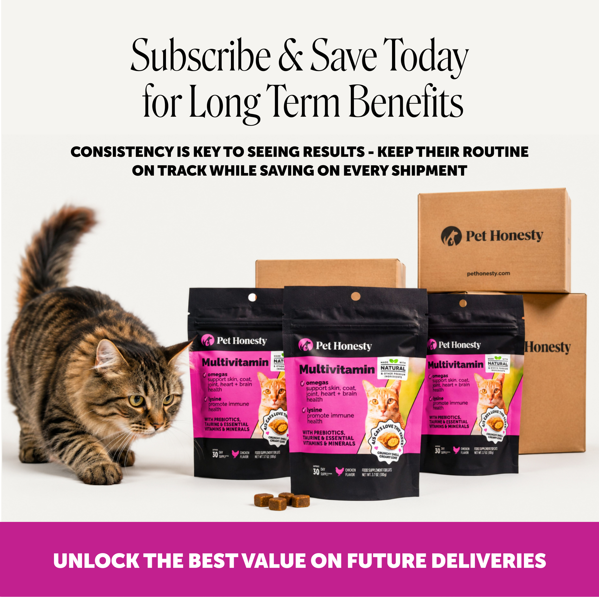 Amazon Design for Pet Honesty, image 7 of 21