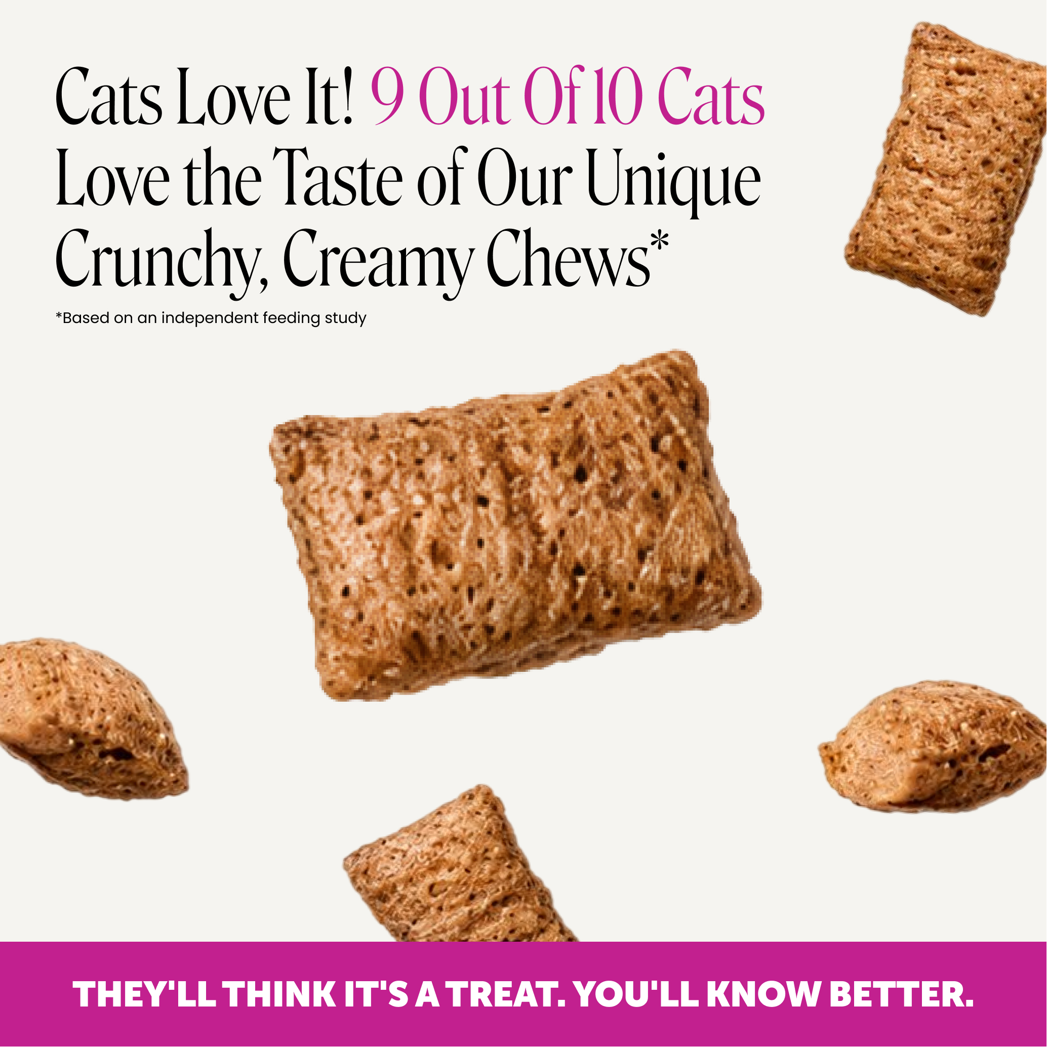 Amazon Design for Pet Honesty, image 1 of 21