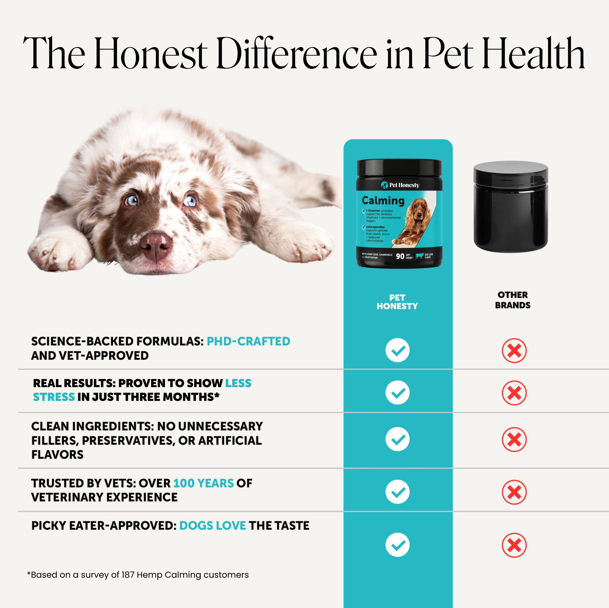 Amazon Design for Pet Honesty, image 12 of 21