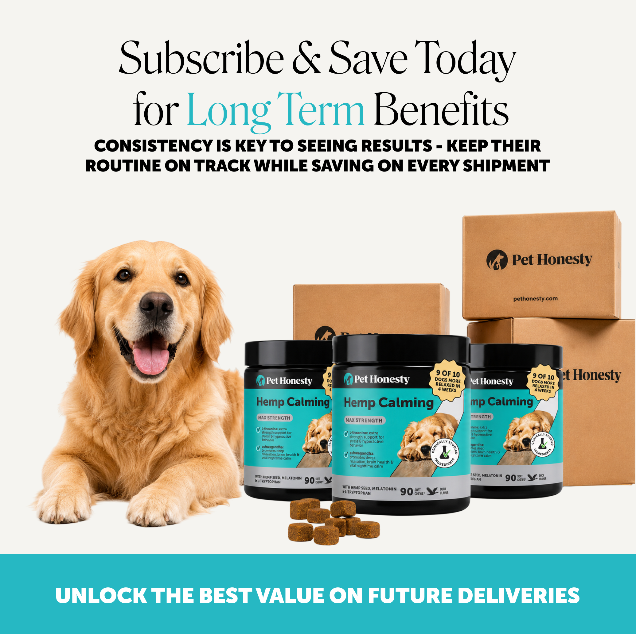 Amazon Design for Pet Honesty, image 4 of 21