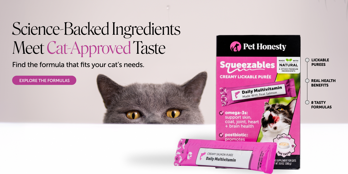 Amazon Design for Pet Honesty, image 20 of 21