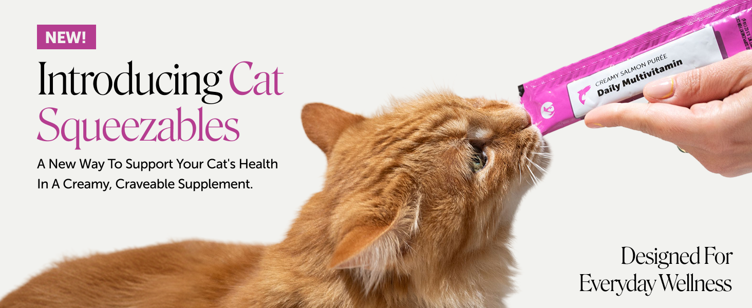 Amazon Design for Pet Honesty, image 17 of 21