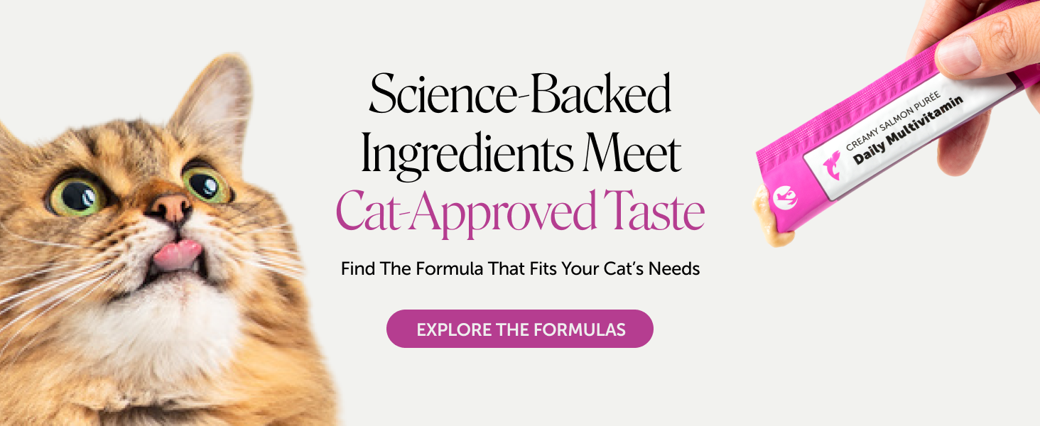 Amazon Design for Pet Honesty, image 16 of 21