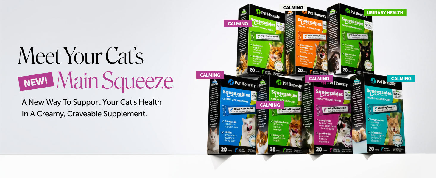 Amazon Design for Pet Honesty, image 8 of 21