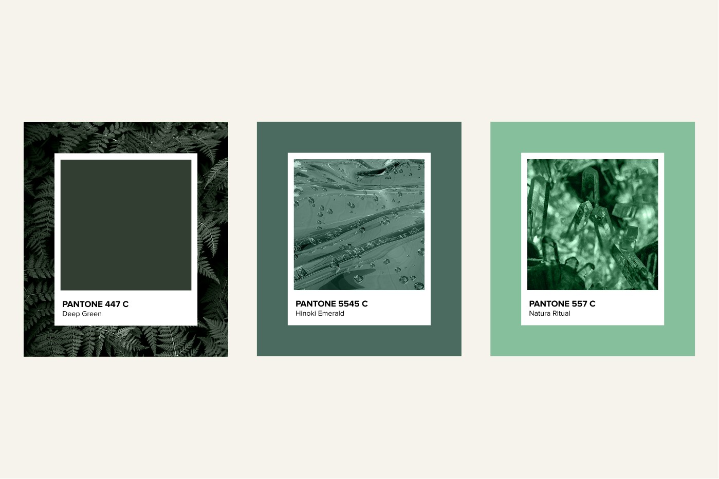 Campaign Design for Tatcha, image 2 of 10